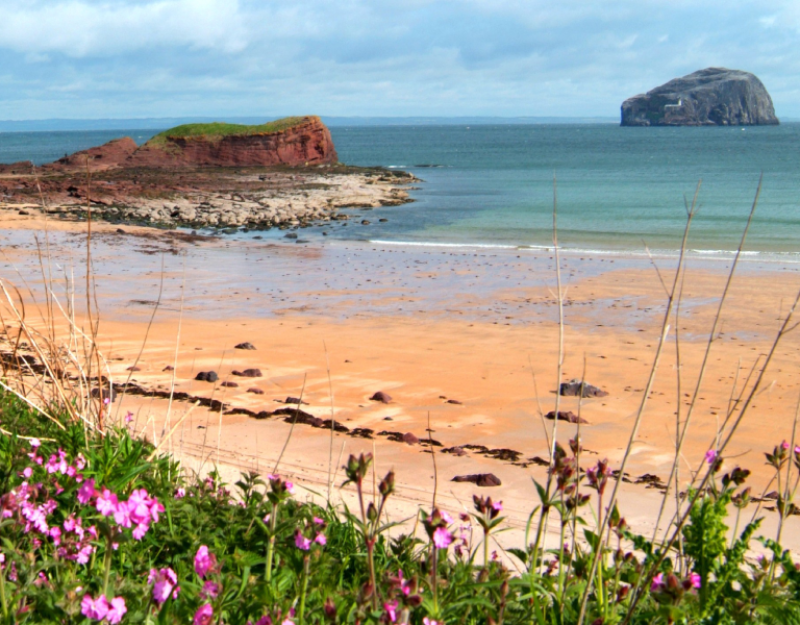 Seacliff Beach East Lothian's Hidden Coastal Gem
