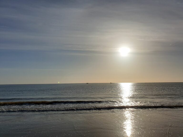 20190601 061932 768x576