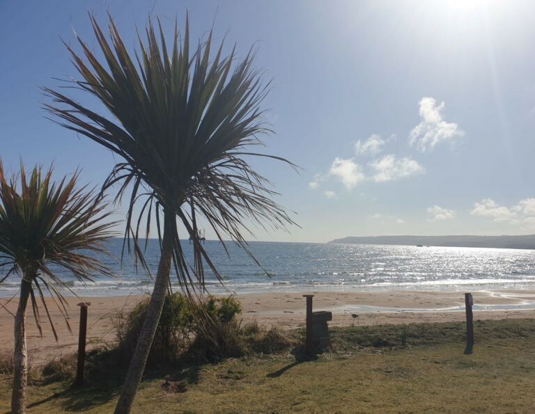 20210421 100434 768x595