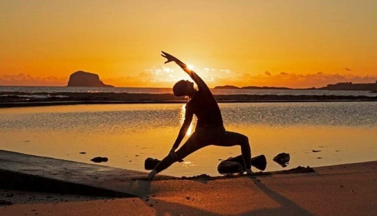 253051067 3241494966079306 1352693381979718504 n 768x442