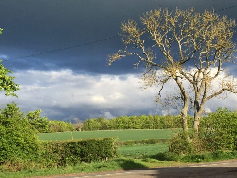 9A104E85 939A 4486 94AF 86DA0D486FC9 768x576