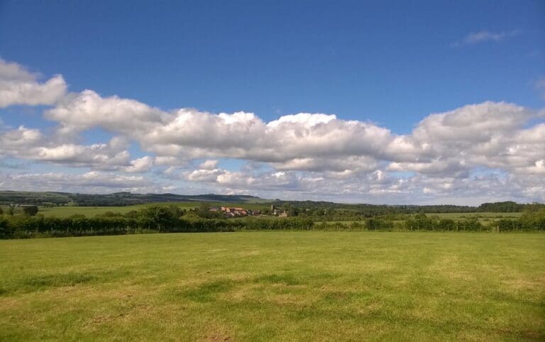 B30EEC5F A97A 44CB 965F 08EDDBFB6300 768x482