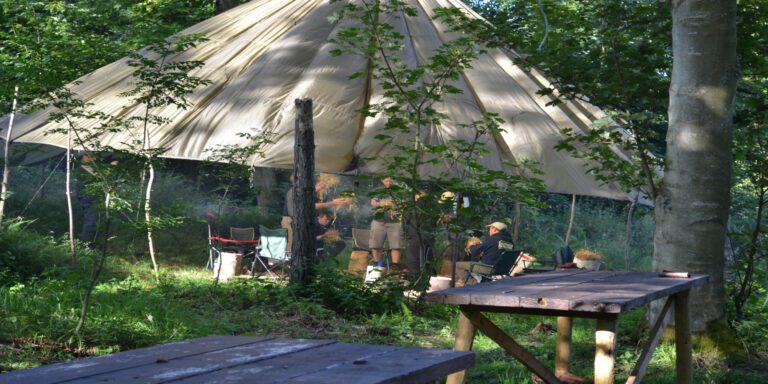 Treeditions Outdoor Activites Visit East Lothian 768x384