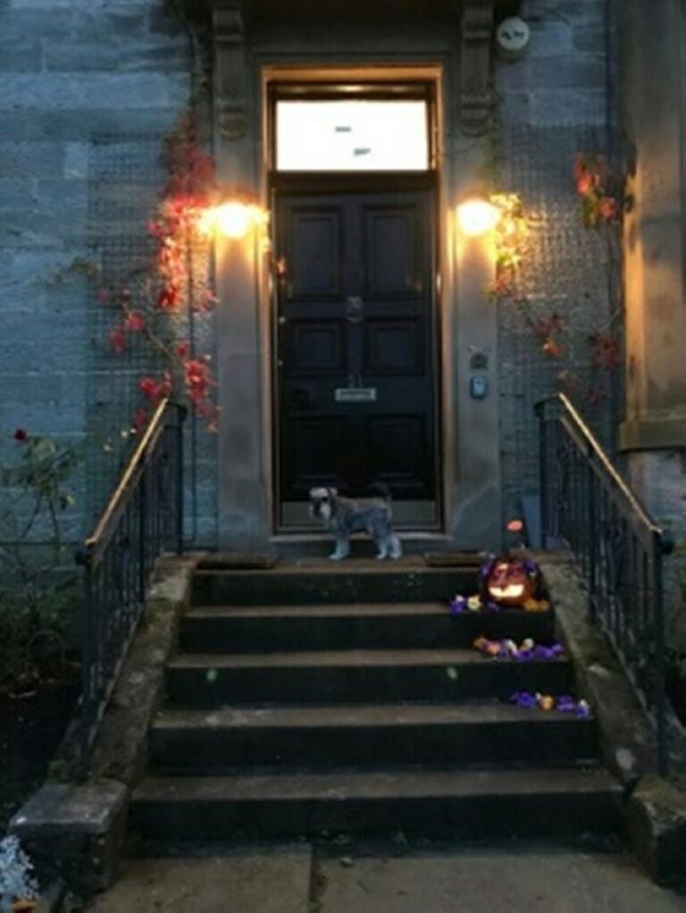 a704da23 5d5f 4c07 b9cb c8bf03bb5535.c10 768x1022