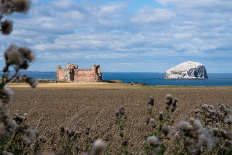 0952D6CF 9011 4A32 9137 C6988307C711 768x512