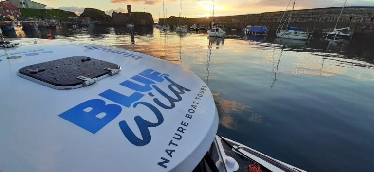 bass rock boat tours 20210518 205616 768x354