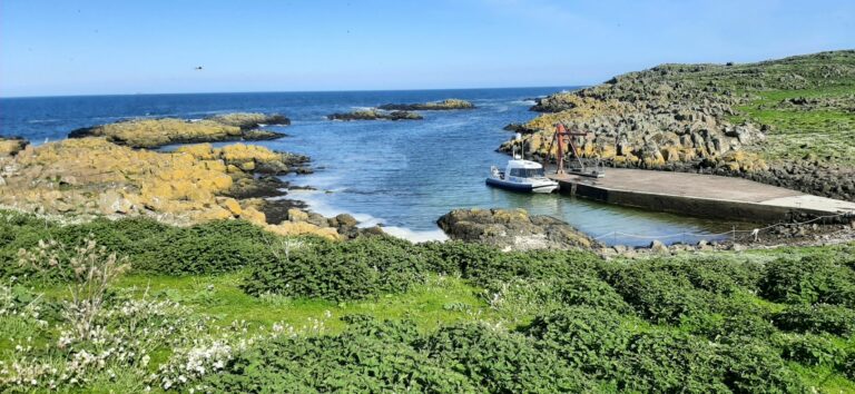 20210527 171543 reduced 768x354