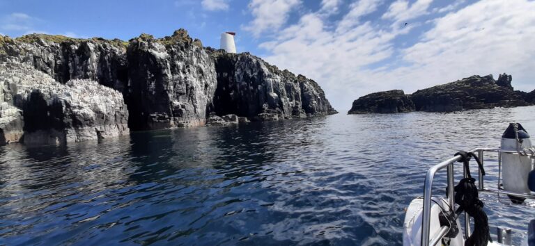 20210708 114755 768x354