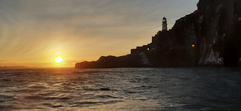 20211010 180404 768x354