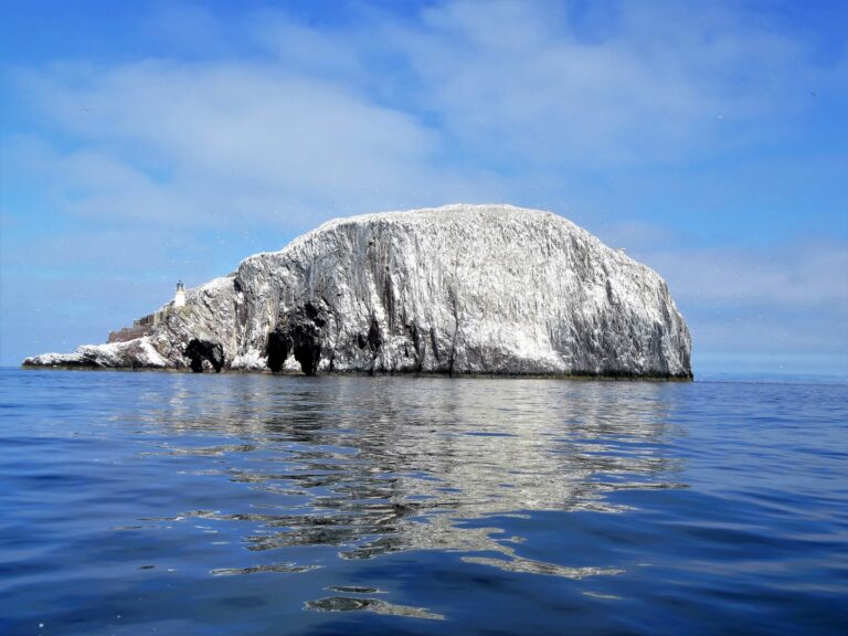 BASS FROM fl JULY 18 medRes 768x576