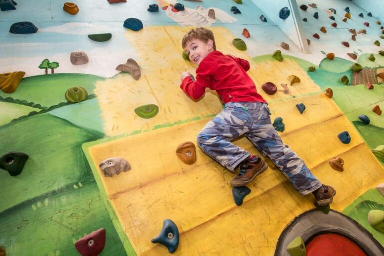 Climbing Wall 1 768x512
