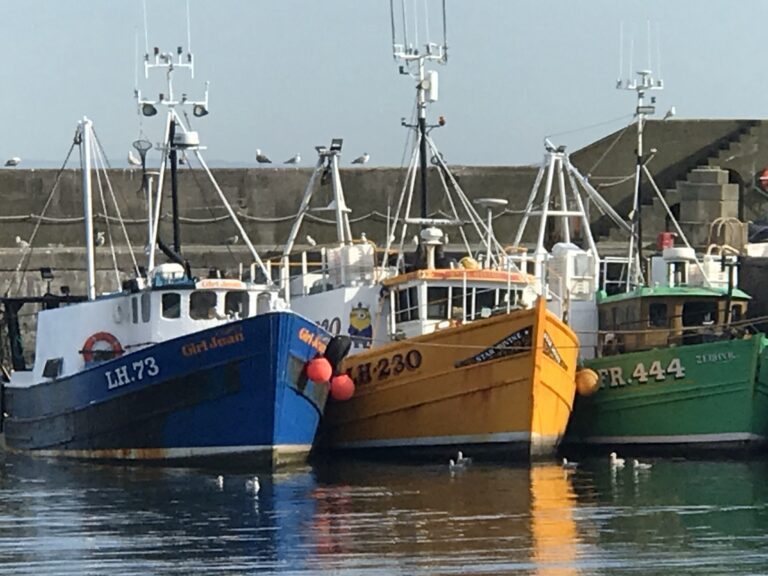 EF8B4AB9 A749 451A A393 BA08F15882C3 768x576