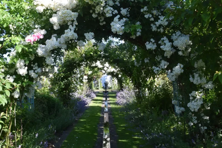 Shepherd House Cottage Garden Visit East Lothian 768x512