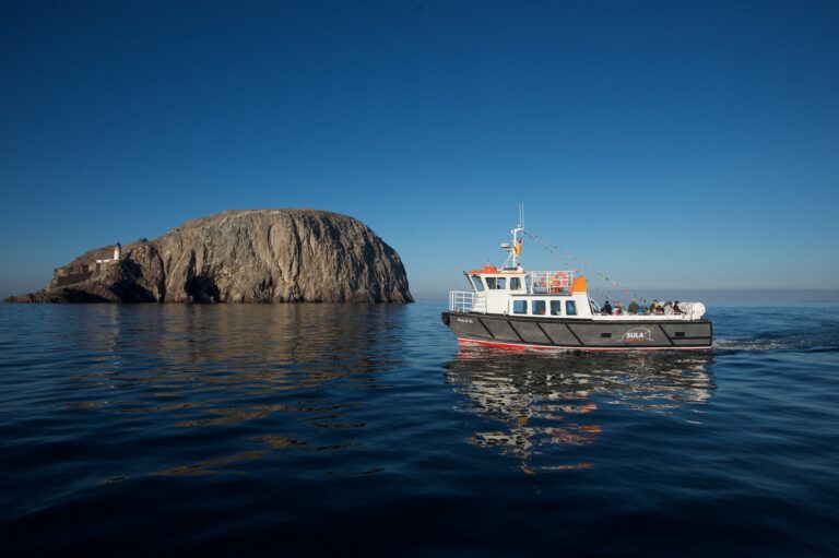 bass rock boat tours Sula Boat Trips Visit East Lothian 768x511