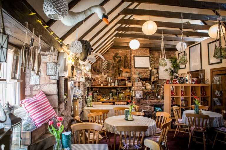 Tyninghame Cafe Interior Visit East Lothian 768x512