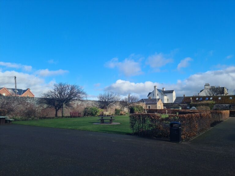 Wishing Tree by the Sea Park Visit East Lothian 768x576