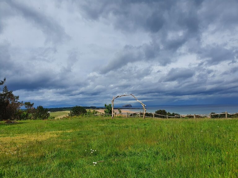 B8B774C5 330C 4A99 8ADF 89E61D79F465 768x576