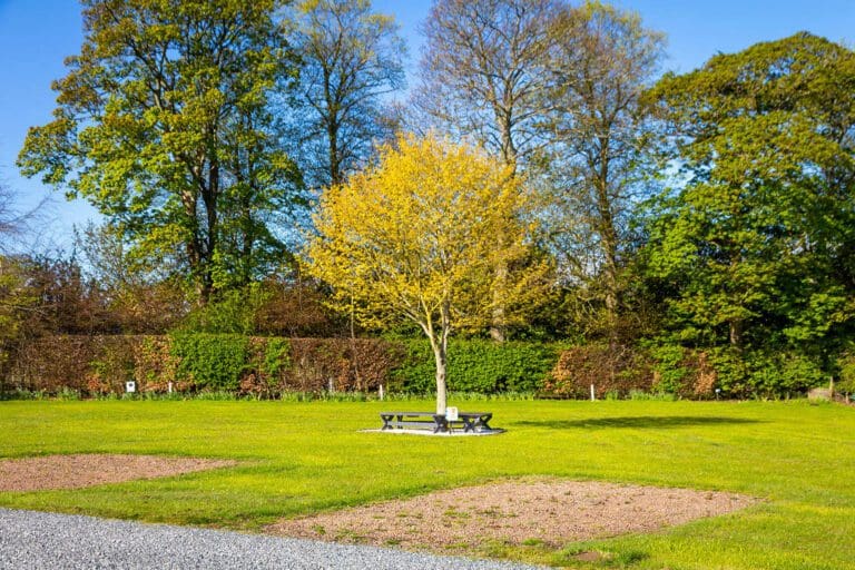 Drummohr 028 768x512