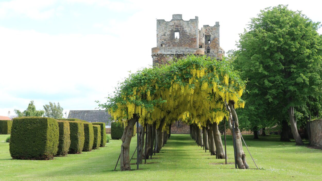 Cycle-routes-Preston-Tower-Visit-East-Lothian