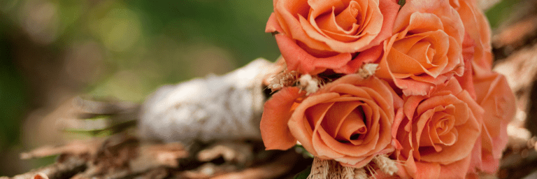 Harvest Moon Wedding Visit East Lothian 768x256