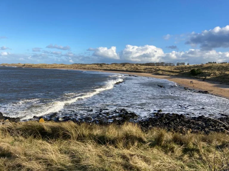 3F55C651 17AE 4533 AE31 6FACA103EA9A 768x576