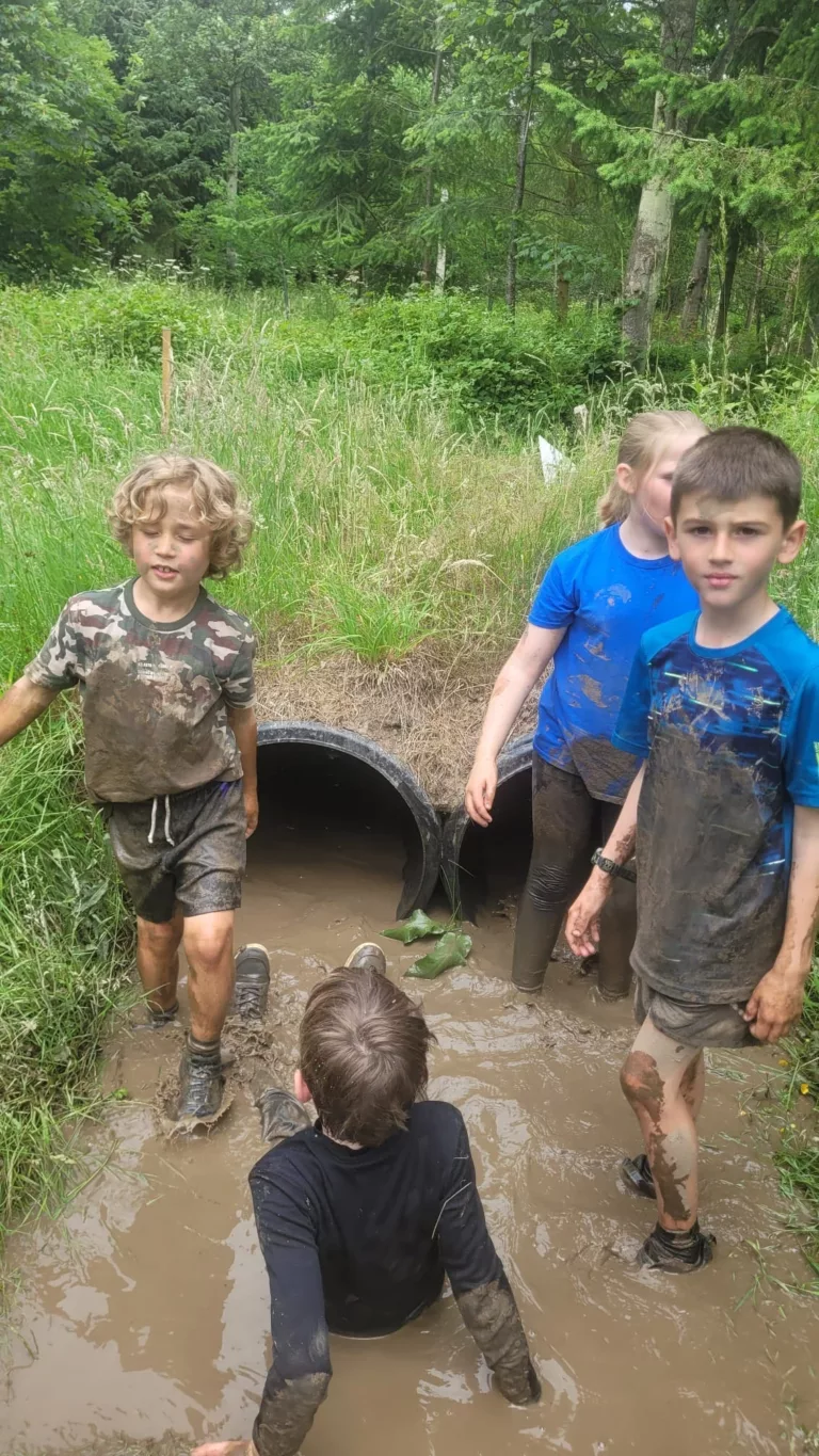 IMG 20230626 WA0067 768x1365