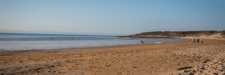 Kellagher Visit East Lothian 768x256