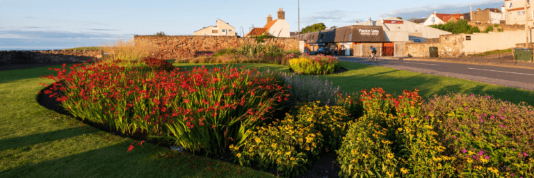 The Anchorage Visit East Lothian 768x256