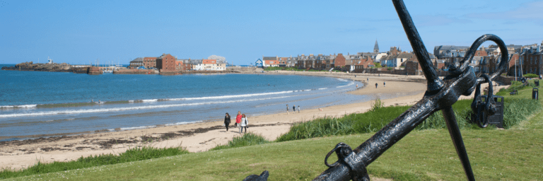 Paper Flower 768x256