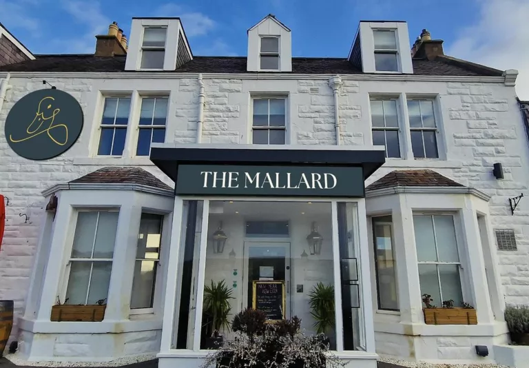 424918830 18013854608500611 6960248423606632349 n 768x534