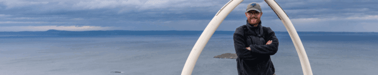 Untitled design 768x154