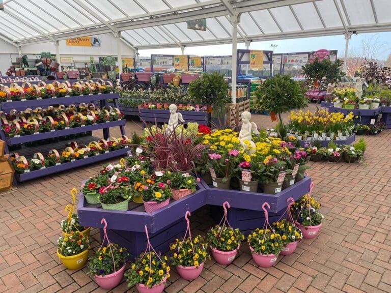 Centre Image 768x576