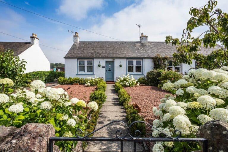 Front garden 1785431652616 768x512
