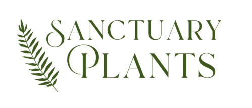 Sanctuary Plants - East Lothian's Botanical Boutique