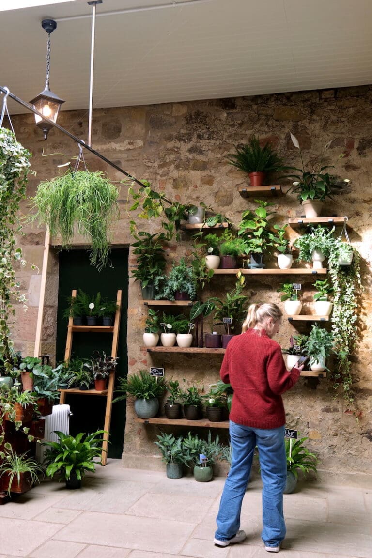 plant room 768x1152