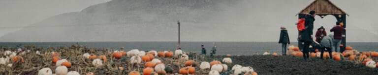 Pumpkins at Balgone Visit East Lothian 768x154