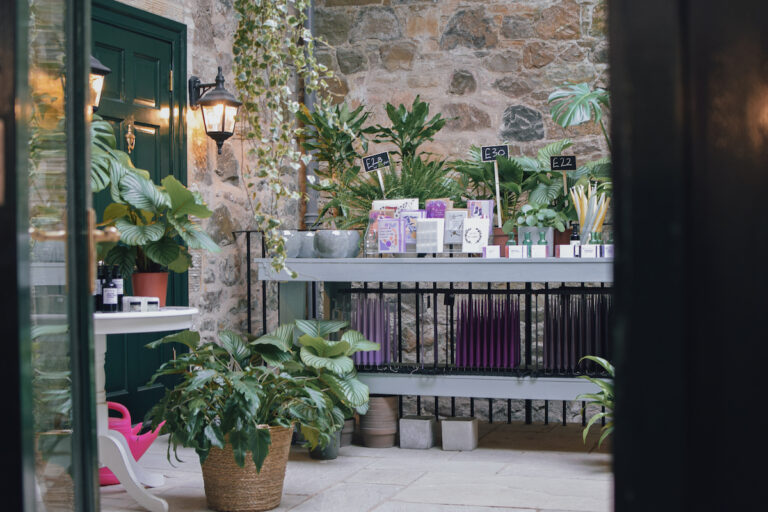 inbloomstudio plant room interior 1 768x512