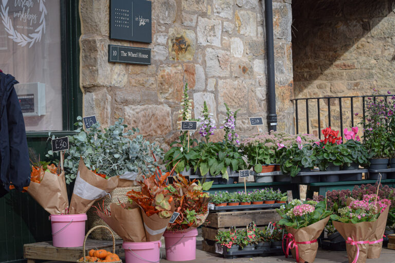inbloomstudio shop front exterior 1 768x512